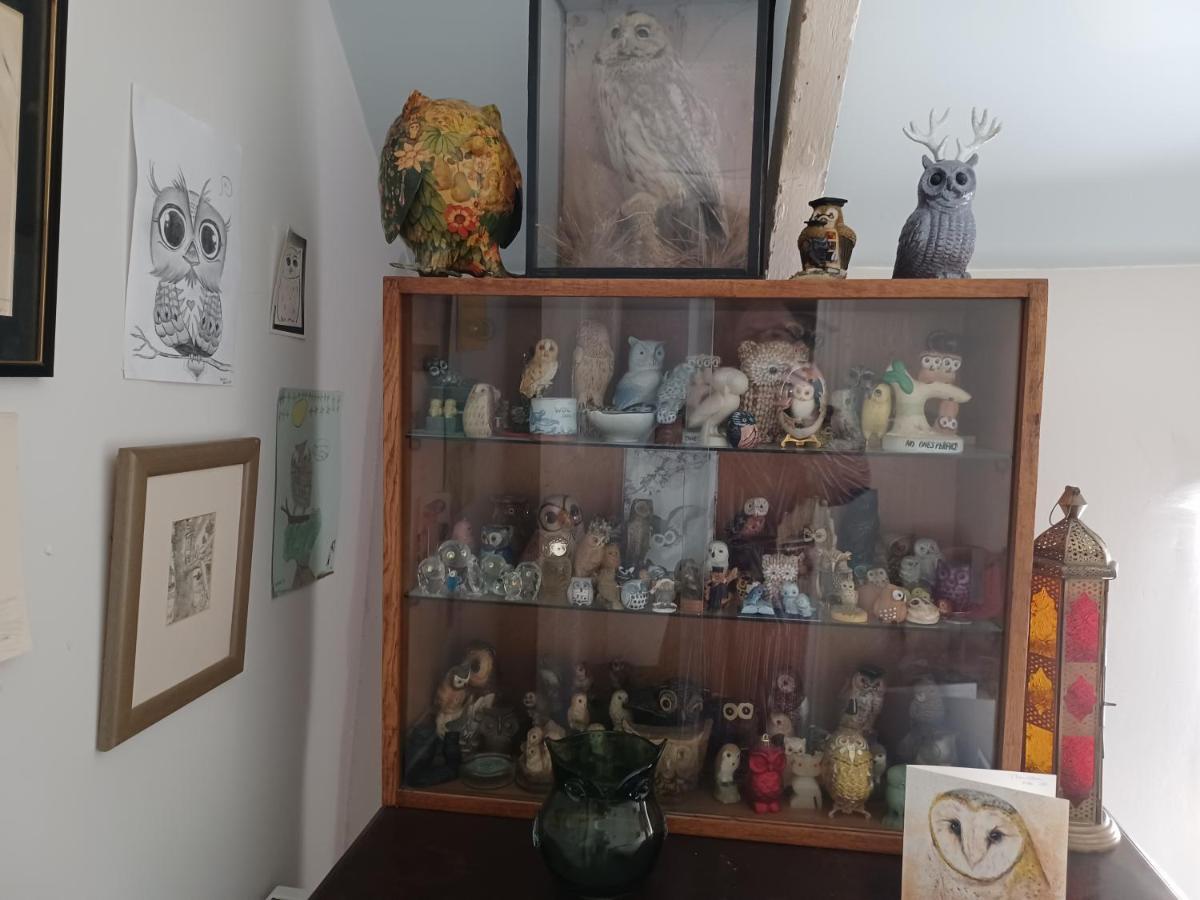 Golant Truly Paradise Cottage מראה חיצוני תמונה